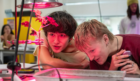 Two Occidental students in a biology lab looking at a plant growing under a hot pink light