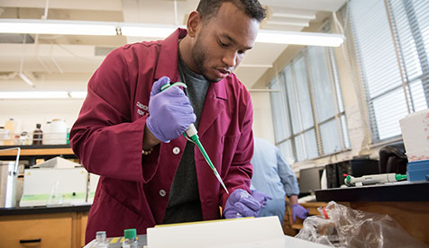 Student in a laboratory using a micropipette to transfer a small volume of liquid into a container.