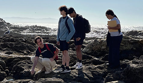 Occidental Biology students conducting research at the beach