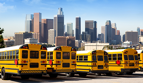 Yellow school buses in a row at LA skyline