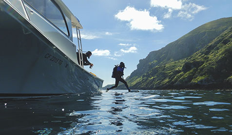 a student diver from the Vantuna Research Group at Occidental College entering the water from a research vessel. 
