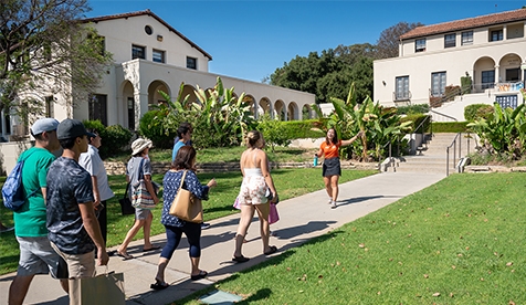 Sunny-day tour at Occidental 