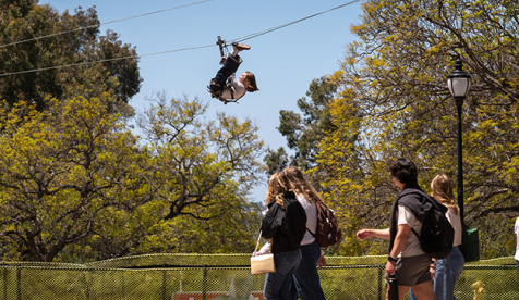 An Occidental student rides a zipline during finals week on the Los Angeles campus