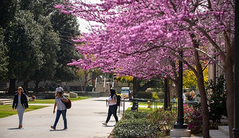 Campus in spring