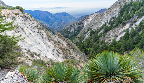 San Gabriel Peak Mountain View with Yucca Plants and Deep Canyon