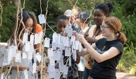 Oxy students decorating the wishing tree at Orientation