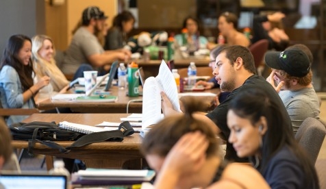 Students study together in the Academic Commons