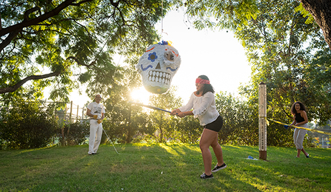 An Occidental (Oxy) student hitting a piñata shaped like a sugar skull  during a sunny day.