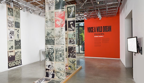 Voice a Wild Dream Exhibition space in teh gallery
