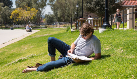 Student studying on the campus lawn