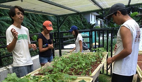 students in a greenhouse growing plants