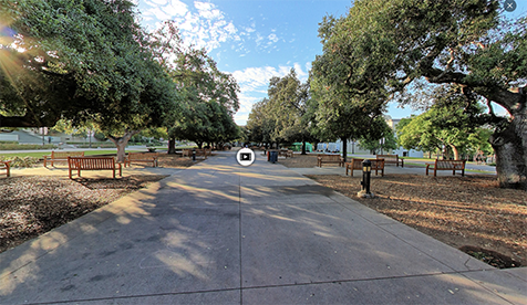 A view of the Quad