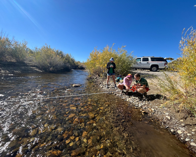 Occidental College environmental science students conducting field research, using a transect tape measure across a shallow, clear stream bed lined with smooth stones and autumn-colored riparian vegetation.