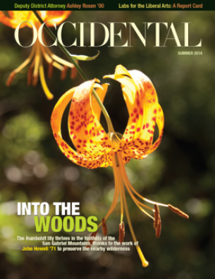 Two bright yellow and orange flowers. Cover story: Into the 