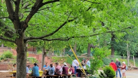 People seated at a table under a tree