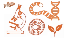 A fish, microscope, cell, plant, DNA and tiger tail