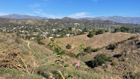 a view of the hills from the top of Fiji Hill near the Occidental College campus