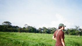Julian Villa in Costa Rica - in a field