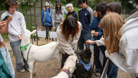 Occidental College students in FEAST garden on campus, petting goats at an event