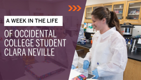 Occidental student Clara shows a week in her life through a video blog