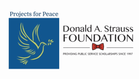 P4P + Strauss Info Session_v2