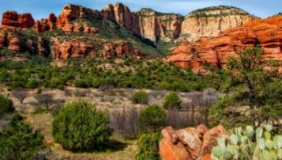 the southwestern desert in the U.S. - ARizona