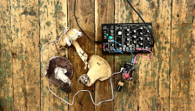 overhead color image of mushrooms connected to a sound system