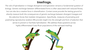 Image for Jeanne Robertson: The evolution of reproductive isolation along the speciation continuum. Lessons from red-eyed treefrogs.