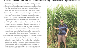 Image for Joel Sachs: Host control over invasion by cheater