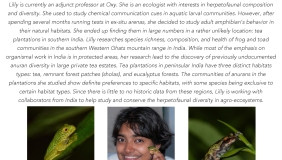 Image for Lilly Eluvathingal: Frogs Living on Tea Bushes? A Case Study from the Western Ghats, India