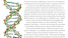 Image for Paul Nerenberg: Does cytosine methylation stabiliz