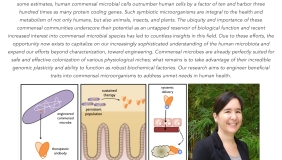 Image for Dr. Shannon J. Sirk ‘01 - Engineering Commensal Mi