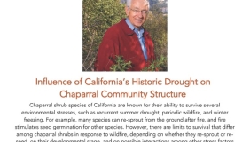 Image for Dr. Stephen D. Davis: Influence of California’s Hi