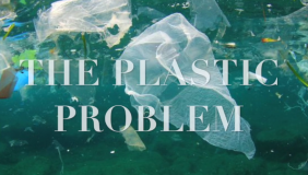Image for Pastic Ban PSA