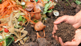 a colorful photo of food in a compost bin