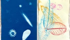 cyanotype and drawing