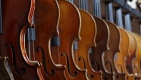 Violins