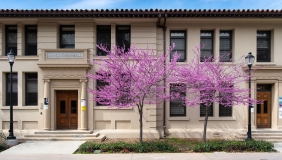 Swan Hall with flowering trees