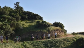 Braiding Sweetgrass Plant Walk