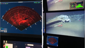 Rosebud on sonar and skull of Rosebud