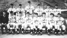 Bill Anderson, 1954 baseball team