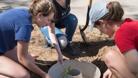 news_Treeplanting_2016