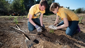 news_MLKDay_students_plants