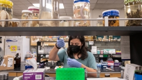 Anahy Lizarraga '23 in the biology lab