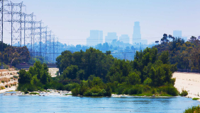 a lush, green section of the Los Angeles River with the downtown Los Angeles skyline visible in the hazy background