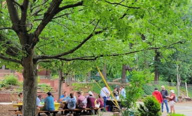 People seated at a table under a tree