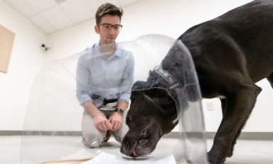 Zachary Silver observes a dog in the Canine Cognition Lab