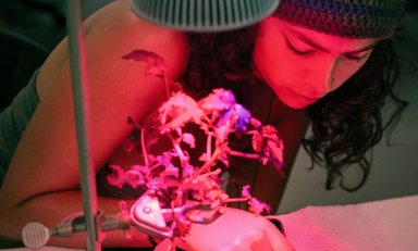 Occidental biology major Hannah Tawadrous '26