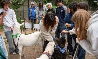 Occidental College students in FEAST garden on campus, petting goats at an event
