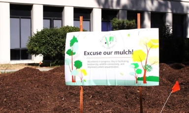 a microforest identification sign in front of a big field of brown mulch